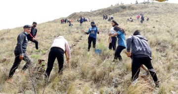 Alcaldía de Incahuasi se propone plantar 10.000 arbolitos este año