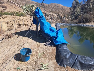 Anciana cae a un pozo de geomembrana y muere ahogada