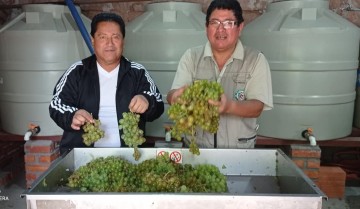 Bodega Don Goyo, de singanis de primera a vinos Bramador…