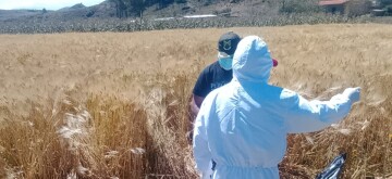 Buscaban a don Toribio y lo encontraron muerto despu&eacute;s de 12 d&iacute;as