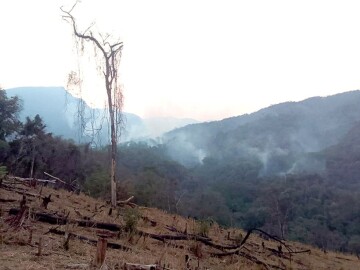 Cae llovizna en El Palmar pero no sofoca los incendios de bosques