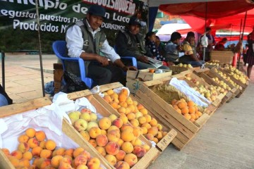 Chinimayu invita a degustar del durazno más rico y grande de la región