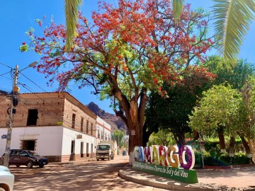 Con el programa listo, los camargueños se aprestan a vivir el Día de la Tradición