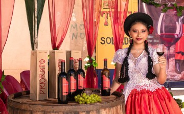 Cuenta regresiva para celebrar el D&iacute;a de la Tradici&oacute;n Camargue&ntilde;a 2026