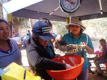 Decenas de pesquiadores participarán en el concurso del miskincho