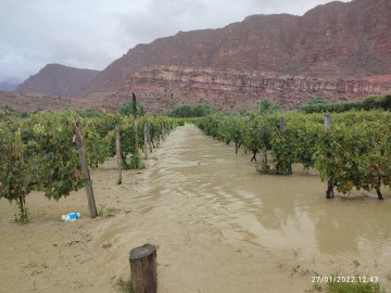 Desborde del Río Grande inunda 150 hectáreas de cultivos en Camargo