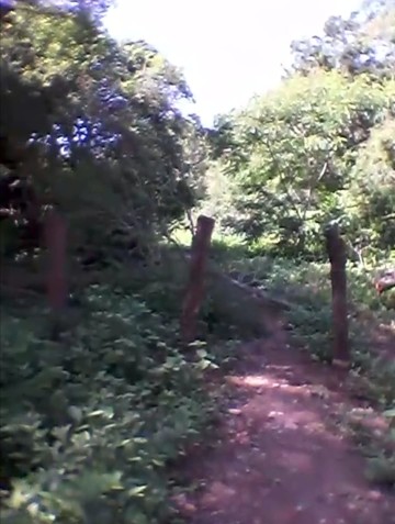 Dueño de un predio corta toda posibilidad de abrir camino entre El Palmar y San Josecito