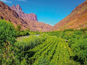 El Encuentro Iberoamericano de eco-turisno estará dos días en Valle de Cinti