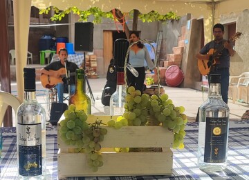 En la Capital: Moscatel Fest reunirá a unas 20 bodegas