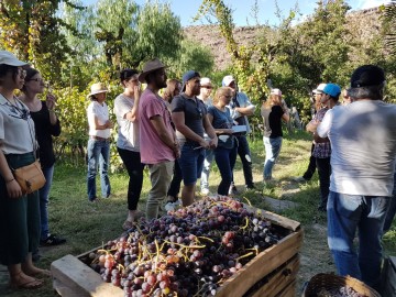Expertos maestrantes en el manejo del vino visitan bodegas en Cinti