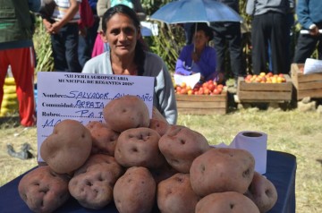 Feria de regantes de Villa Charcas reúne a unos 500 expositores 