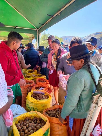 Feria del mocochinchi de Liquimayu congrega a 75 expositores