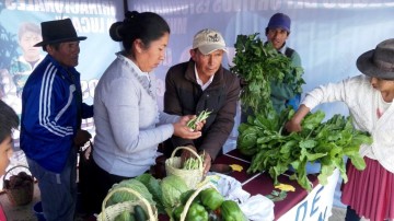 Fexmusal destaca capacidad productiva de San Lucas