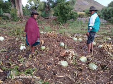 Granizada y riada destruyen 70 hectáreas de cultivos en San Lucas