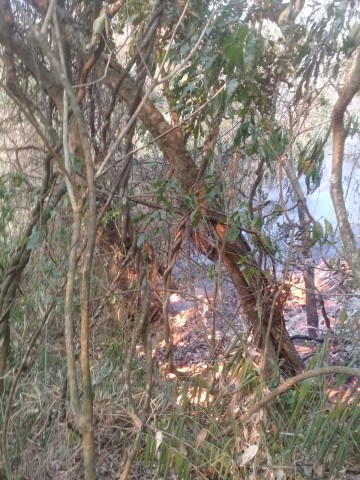 Hay incendio en la comunidad de Monte Mayor desde el 17 de septiembre