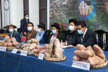 Incahuasi lanza la 2° Feria Departamental de la Papa