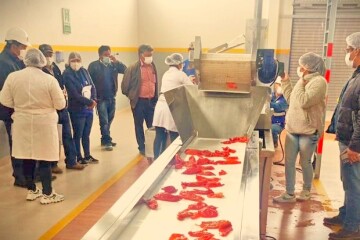 Incahuasi: Planta industrial de ají necesita Bs 2.5 millones