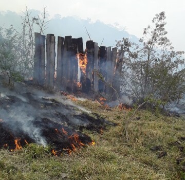 Incendio en El Palmar arrasa con 2.200 hectáreas de bosque