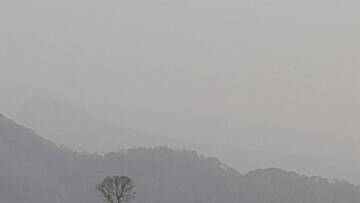 Incendio forestal en la zona de Tigrecillos en El Palmar culpineño