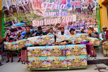 La Feria de Camélidos espera a más de 100 expositores en San Lucas
