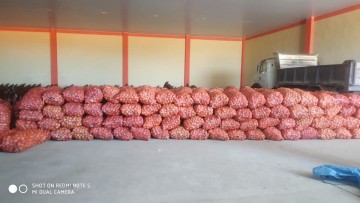 Manzaneros de Culpina aseguran mercado para 50 de 180 toneladas