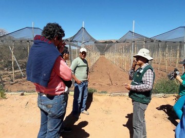 Misión del FIDA evalúa proyectos de Accesos-Asap en la región de los Cintis