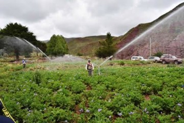 Piden ampliar plazo para presentación de proyectos al programa PAR