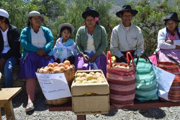 Productores concursarán en cinco rubros en la V Feria de Culpina 