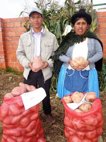 Productores de papa y cebolla están preocupados por los bajos precios