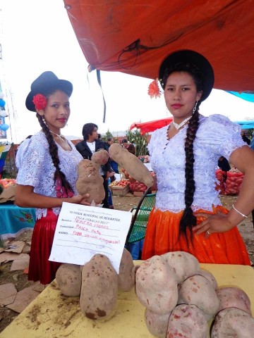 Regantes de Villa Charcas inician feria que tendrá tres días de duración