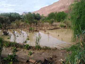 Riada y granizo dejan sin producción a 524 familias en Camargo