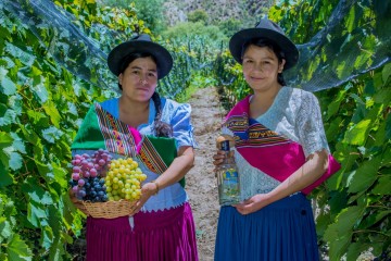 San Lucas se prepara para la VIII versión de la Feria del Singani