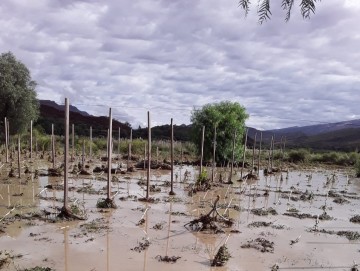 Se desborda el Río Chico de Las Carreras y deja desolada la tierra productiva 