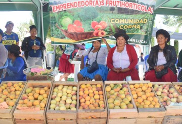 Un 20% más y la planta de durazno de San Lucas estará concluida