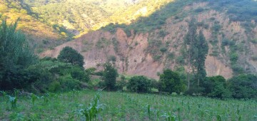 Un hombre cayó 15 metros por buscar leña en El Quemado, Incahuasi