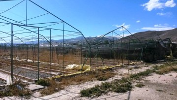 Vivero Forestal Municipal de Culpina colapsó por el viento y granizo