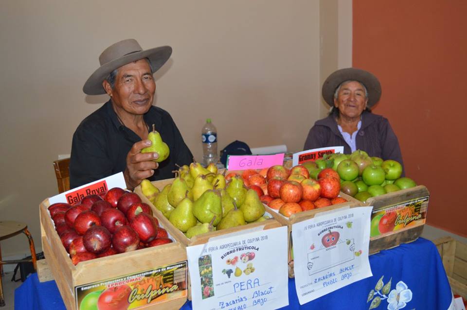 Amplia participación destaca en feria Agropecuaria de Culpina