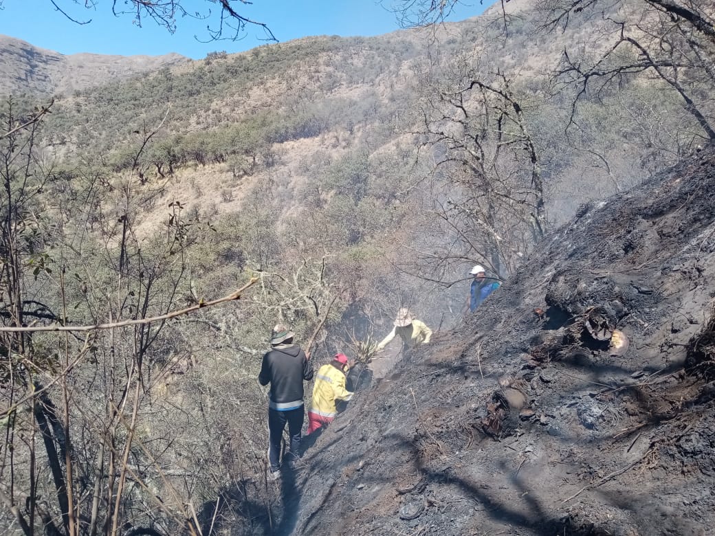 Apagan incendio en San Lucas que quemó más de 1.400 hectareas