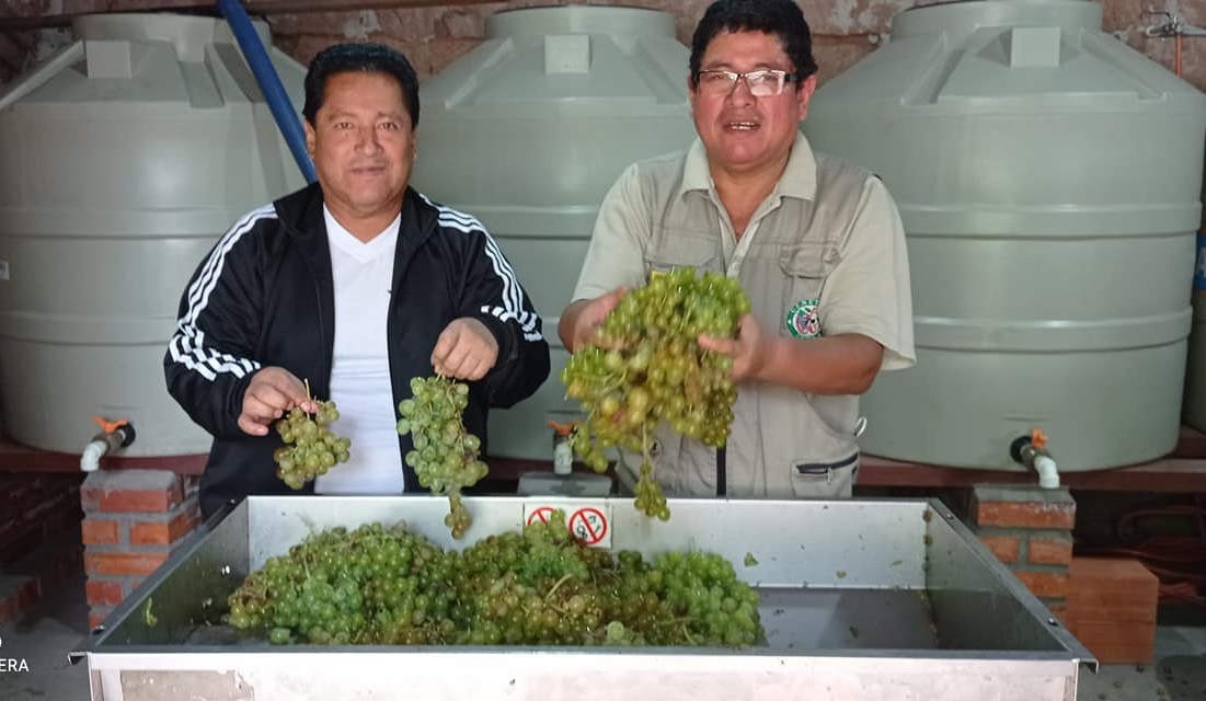 Bodega Don Goyo, de singanis de primera a vinos Bramador…