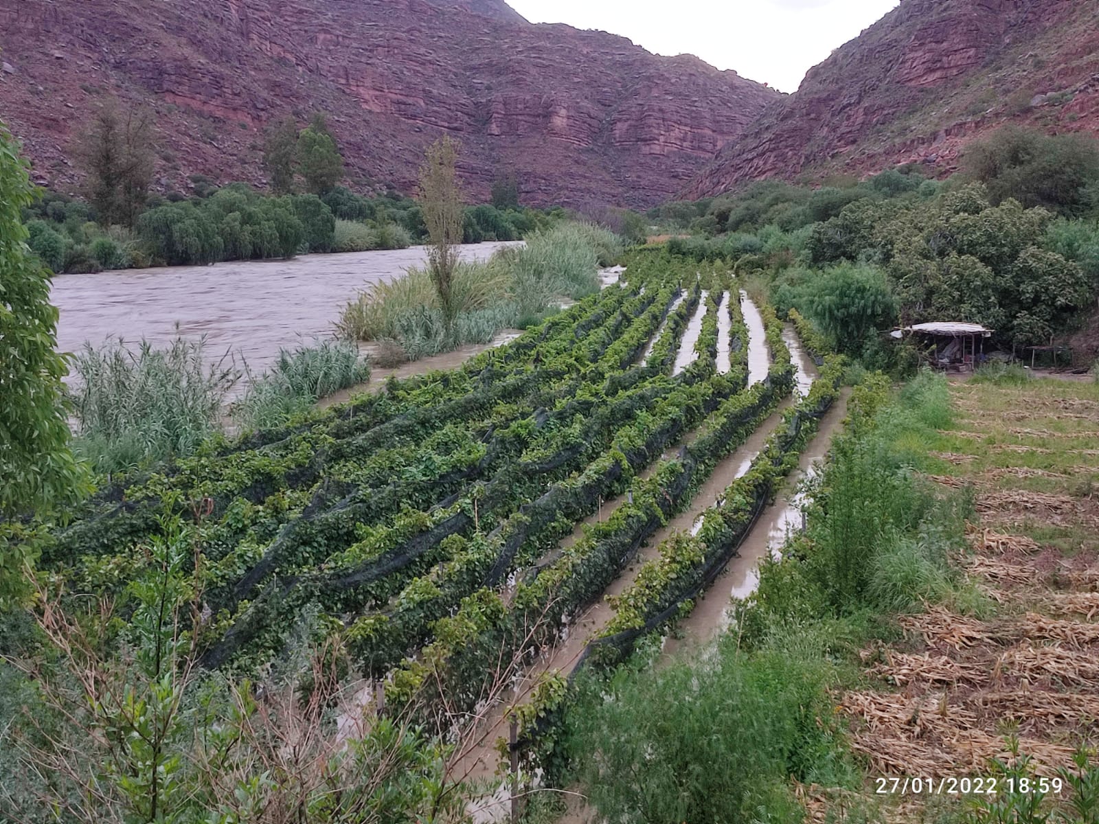 Bodegueros piden que se declare zona de desastre a Camargo Bodegueros piden que se declare zona de desastre a Camargo
