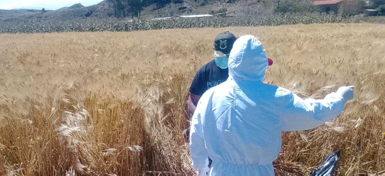 Buscaban a don Toribio y lo encontraron muerto despu&eacute;s de 12 d&iacute;as