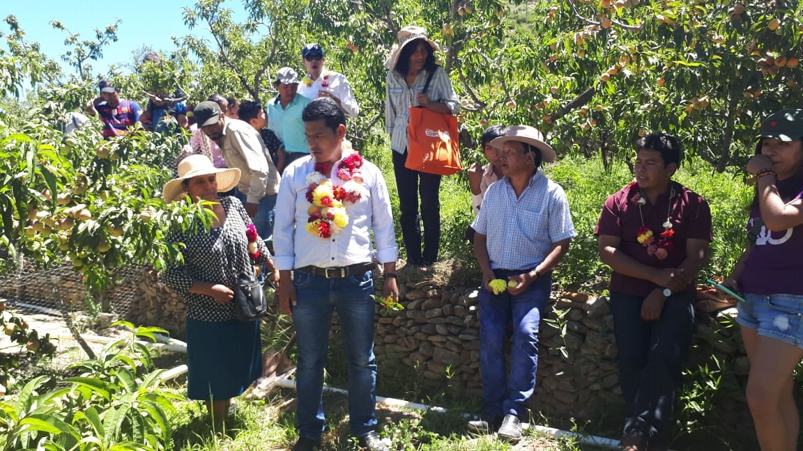 Camargo introduce 140 hectáreas bajo riego con tres proyectos