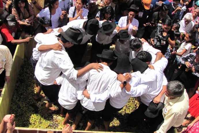 Comprometen simposio para productores de uva en la Fenavit