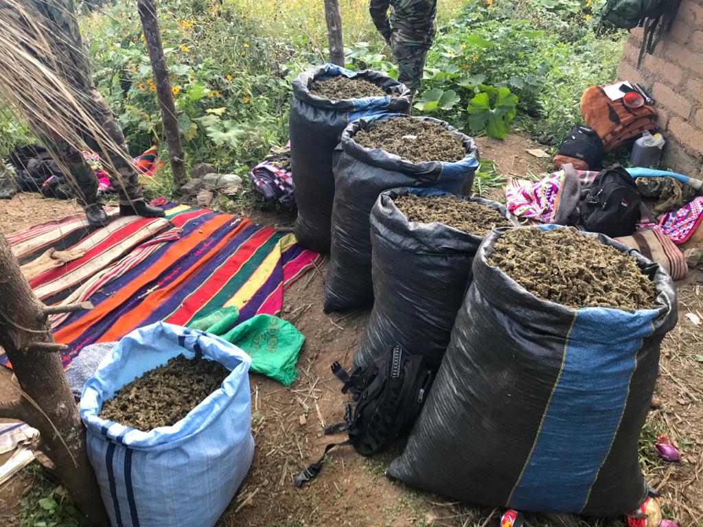 Decomisaron casi 300 kilos de marihuana en San Lucas