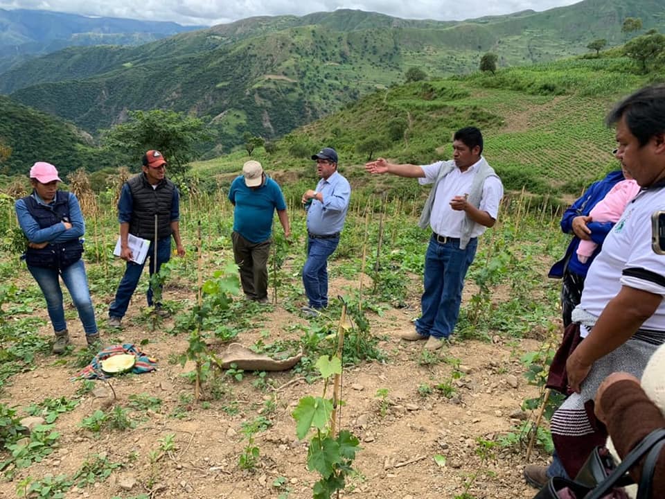 Denuncian abandono de dos programas productivos en los Cintis