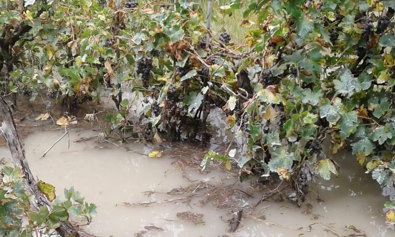 Desborde de ríos Chico y Grande causa daños en 19 comunidades