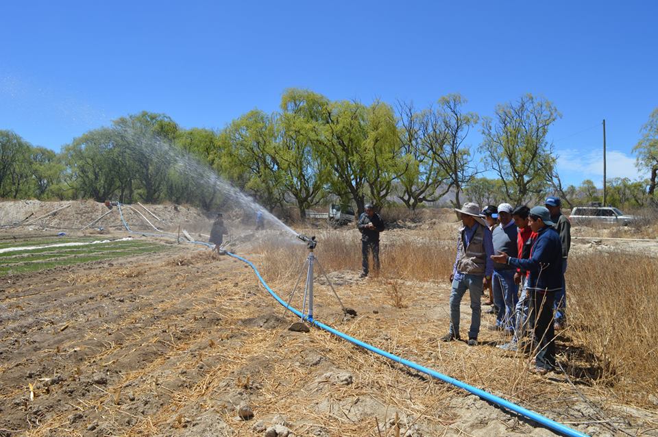 Diez familias ingresan a la era del riego tecnificado en Yuquina