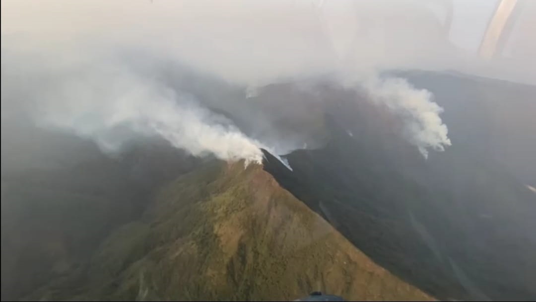 ​Dos focos de calor provocan incendios de “magnitud” en El Palmar culpineño