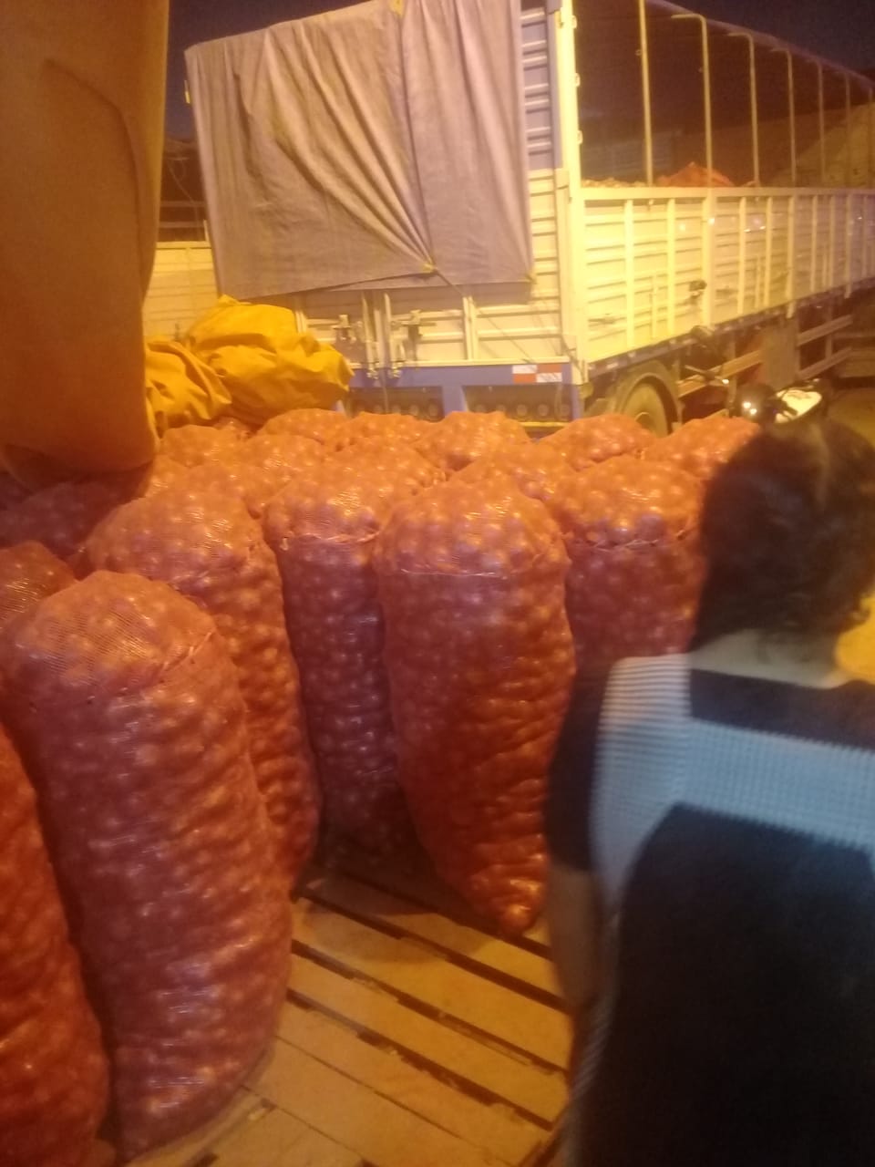 El precio de la cebolla en Santa Cruz "está por los suelos" El precio de la cebolla en Santa Cruz "está por los suelos"