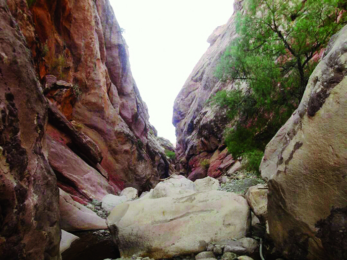 El Valle de los Petroglifos de Taraya  y La Fragua, una maravilla a visitar